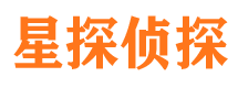 驿城市调查公司